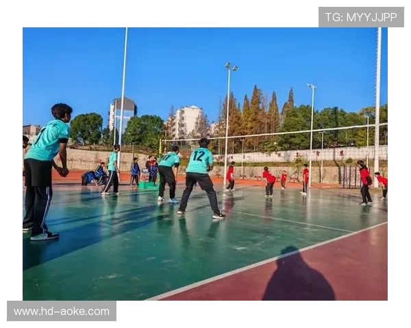 县教育局坚持“健康第一、体教融合”，通过排球赛促进学生全面发展